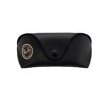 Original Ray-Ban 4320CH Ersatzteile