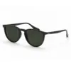 Kompatible Ersatzgläser Ray-Ban 4171 Erika