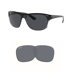 Original Ray Ban 4351 Ersatzgläser