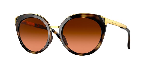 9434-10-brown-tortoise