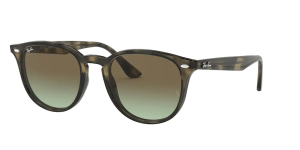 Ray-Ban RB4259, Farbe 731/e8 grau Havanna