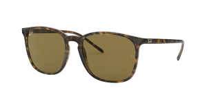 Ray-Ban RB4387, Farbe 710/73 · Havanna hell