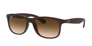 Ray-Ban RB4202 ANDY, Farbe 607313 braun matt auf braun
