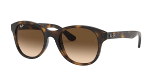 Original Ray-Ban RB4203 Bügel, Farbe 710 · Havanna hell