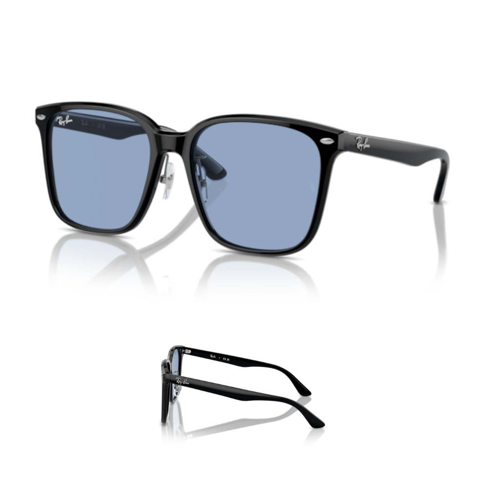 Original Ray-Ban 2206D Ersatzbügel