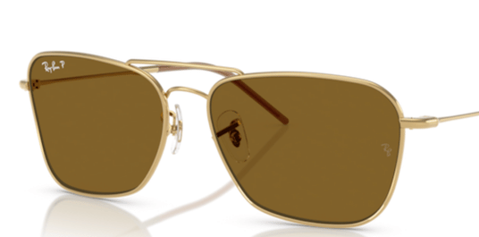 83-polarized-brown-plastic-2