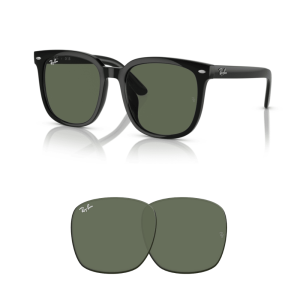 Original Ray-Ban 4401D Ersatzgläser