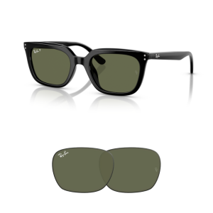 Original Ray-Ban 4439D Ersatzgläser
