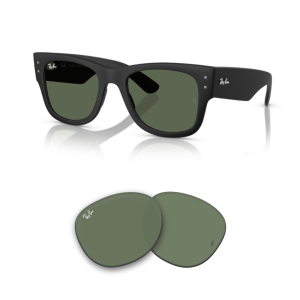 Original Ray-Ban 4840S Ersatzgläser