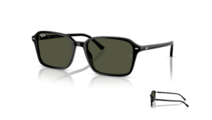 Original Ray-Ban 2231 RAIMOND Ersatzbügel