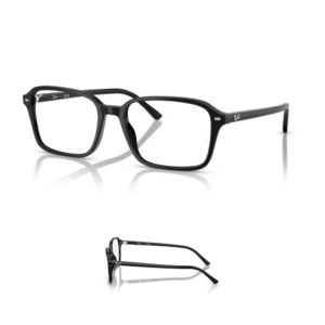 Original Ray Ban 5431 Ersatzbügel