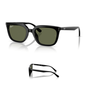Original Ray-Ban 4439D Ersatzbügel