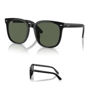 Original Ray-Ban 4401D Ersatzbügel