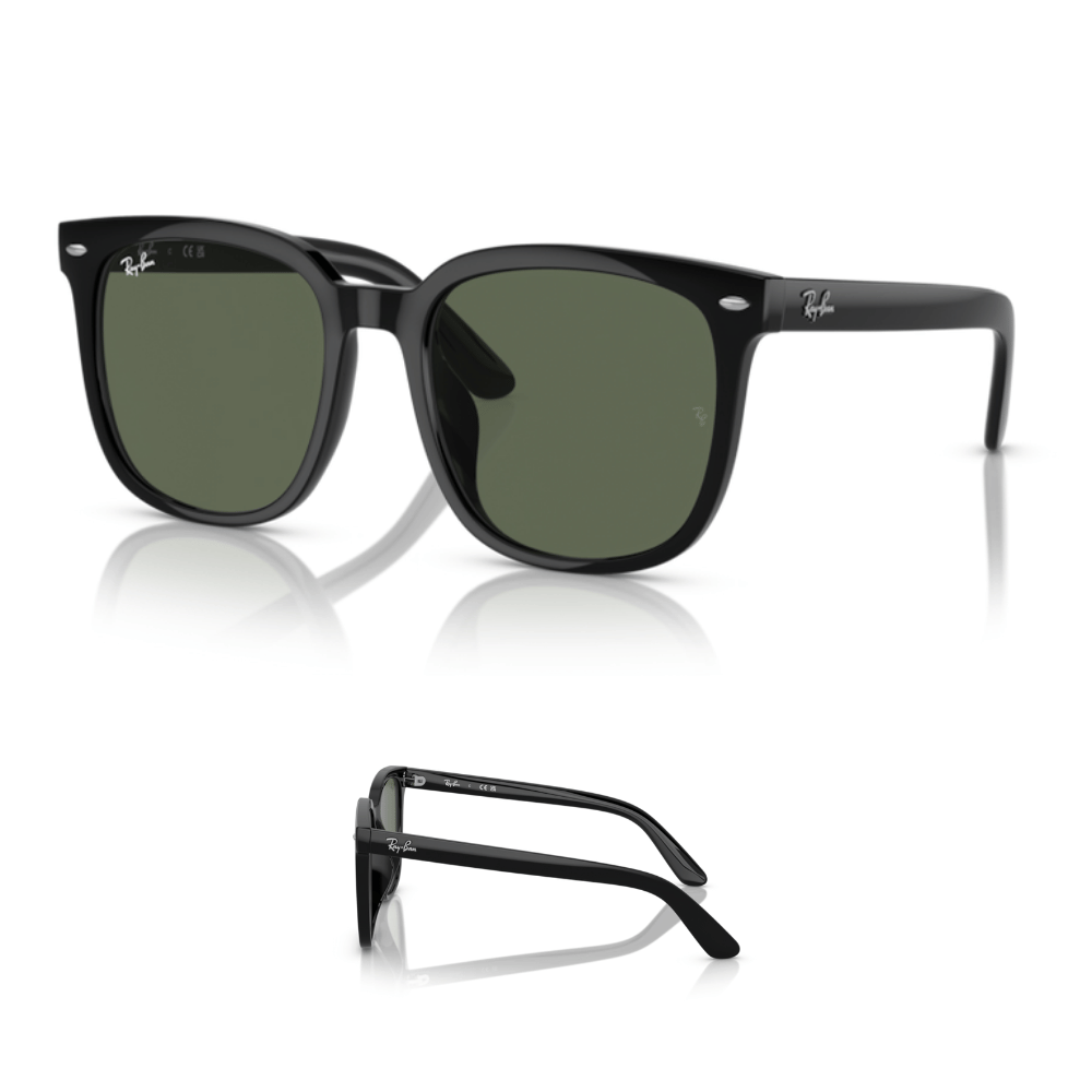 Original Ray-Ban 4401D Ersatzbügel