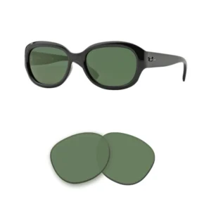 Kompatible Ersatzgläser Ray-Ban 4198
