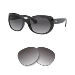 Kompatible Ersatzgläser Ray-Ban 4325