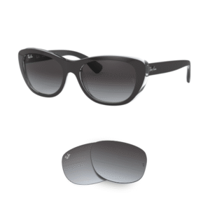 Original Ray Ban 4227 Ersatzgläser