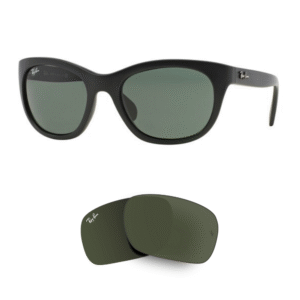 Original Ray Ban 4216 Ersatzgläser