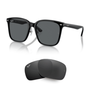 Original Ray Ban 2206D Ersatzgläser