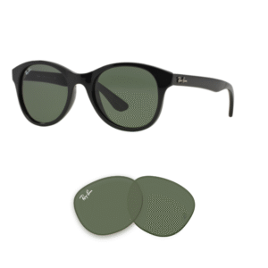 Original Ray Ban 4203 Ersatzgläser