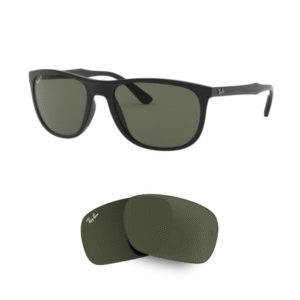 Original Ray Ban 4291 Ersatzgläser
