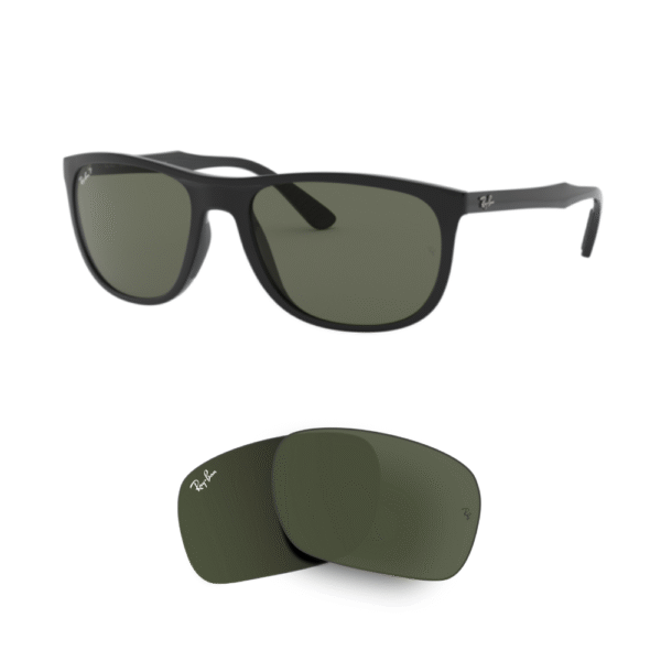 Original Ray-Ban 4291 Ersatzgläser