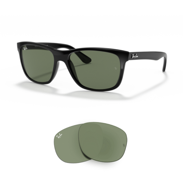 Original Ray-Ban 4181 Ersatzgläser