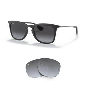 Original Ray Ban 4221 Ersatzgläser