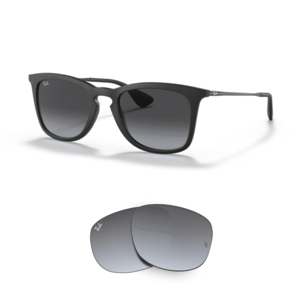 Original Ray-Ban 4221 Ersatzgläser