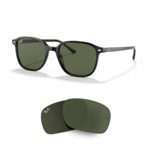 Original Ray Ban 2193 LEONARD Ersatzgläser