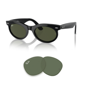 Original Ray Ban 2242 WAYFARER OVAL Ersatzgläser
