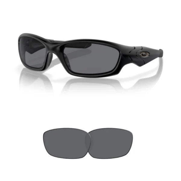 Kompatible Ersatzgläser Oakley 9039 STRAIGHT JACKET