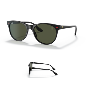 Original Ray Ban 2202M Ersatzbügel