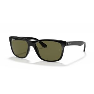 Ray-Ban RB4181