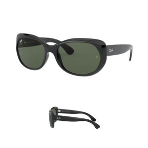 Original Ray Ban 4325 Ersatzbügel