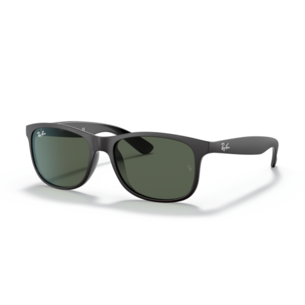 Ray-Ban RB4202 ANDY