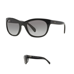 Original Ray Ban 4216 Ersatzbügel