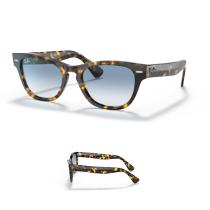 Original Ray Ban 2201 Laramie Ersatzbügel