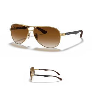 Original Ray Ban 8313 Ersatzbügel