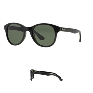 Original Ray Ban 4203 Ersatzbügel