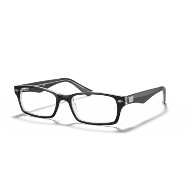 Ray-Ban RX5206
