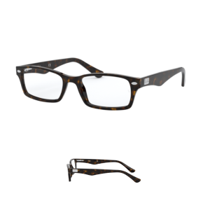 Original Ray Ban Sehbrillen 5206 Ersatzbügel