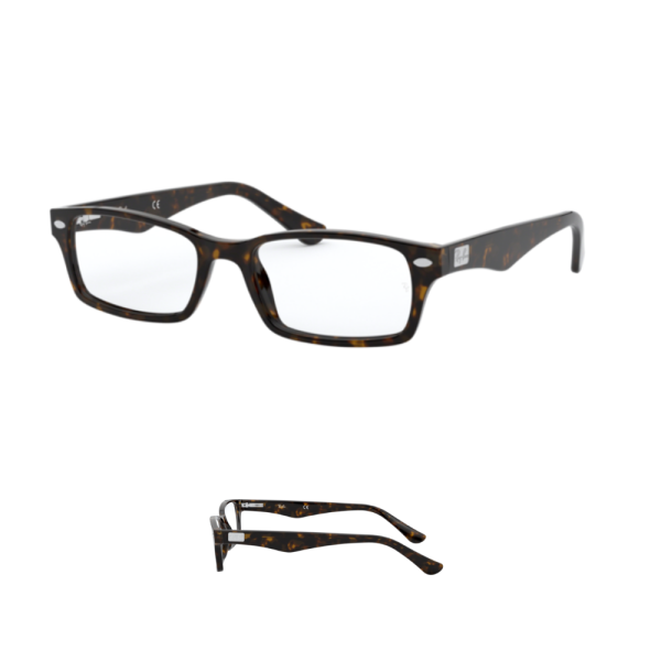 Original Ray-Ban Sehbrillen 5206 Ersatzbügel