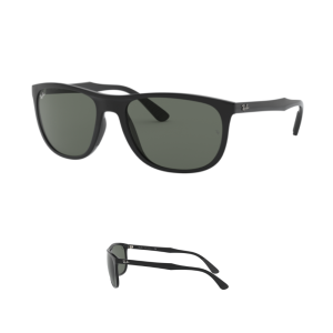 Original Ray Ban 4291 Ersatzbügel