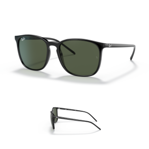 Original Ray Ban 4387 Ersatzbügel