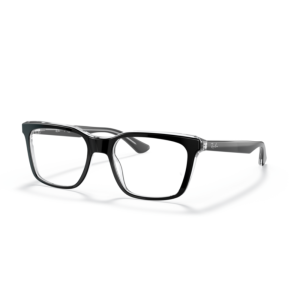 Ray-Ban RX5391