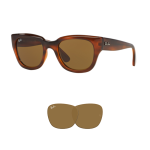Original Ray-Ban 4178 Ersatzgläser
