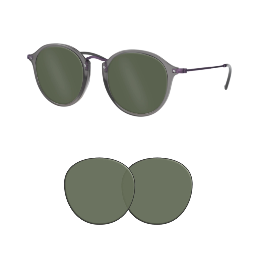 Kompatible Ersatzgläser Ray-Ban 2447N