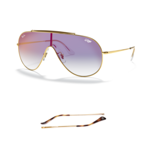 Ray-Ban 3597 Wings Kompatible Ersatzbügel