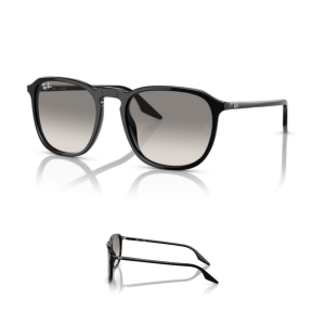 Original Ray-Ban 2203 Ersatzbügel